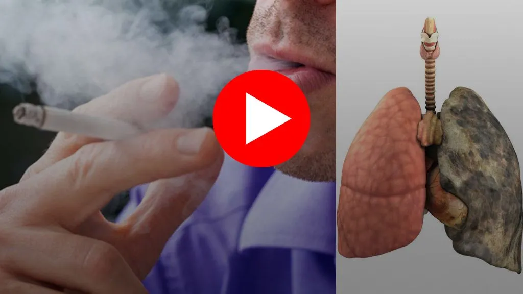 What's Coming Out of Your Lungs Every Morning